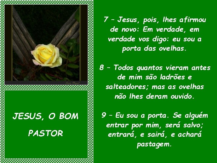 7 – Jesus, pois, lhes afirmou de novo: Em verdade, em verdade vos digo: