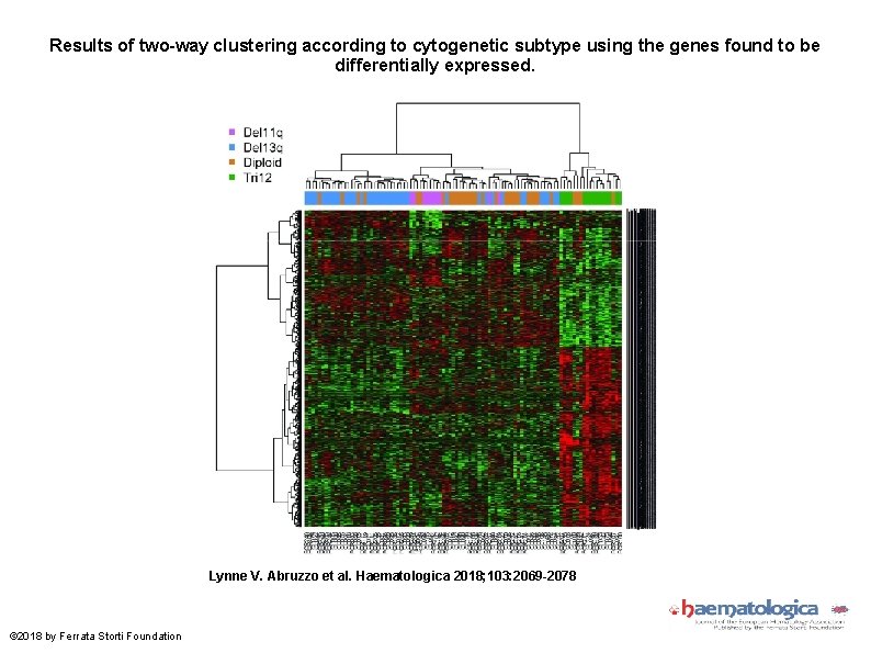 Results of two-way clustering according to cytogenetic subtype using the genes found to be