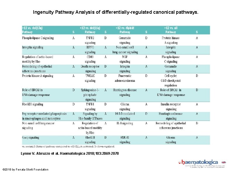 Ingenuity Pathway Analysis of differentially-regulated canonical pathways. Lynne V. Abruzzo et al. Haematologica 2018;