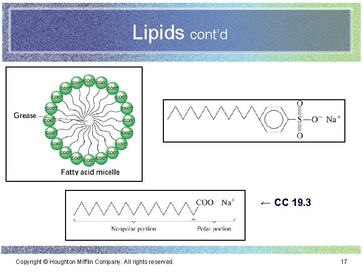 Lipids cont’d ← CC 19. 3 Copyright © Houghton Mifflin Company. All rights reserved.