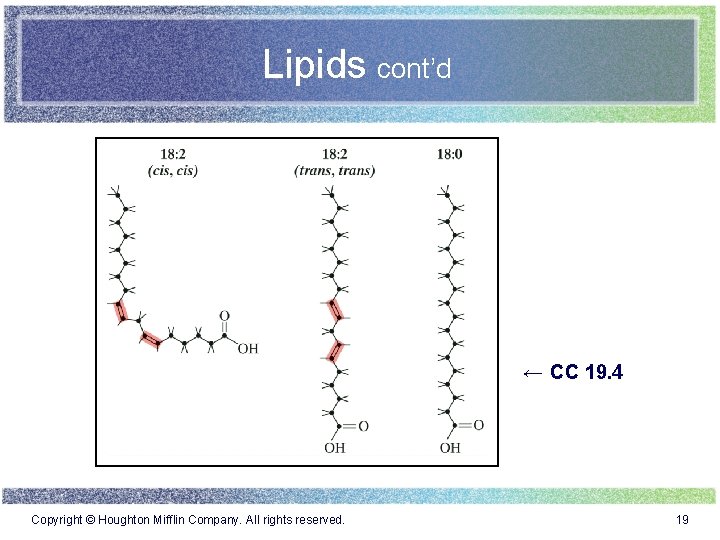 Lipids cont’d ← CC 19. 4 Copyright © Houghton Mifflin Company. All rights reserved.