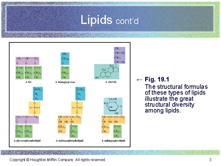 Lipids cont’d ← Fig. 19. 1 The structural formulas of these types of lipids