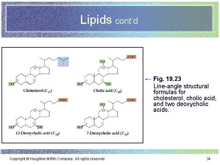 Lipids cont’d ← Fig. 19. 23 Line-angle structural formulas for cholesterol, cholic acid, and