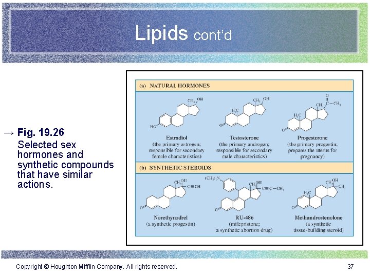 Lipids cont’d → Fig. 19. 26 Selected sex hormones and synthetic compounds that have