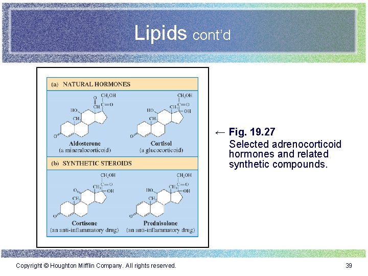 Lipids cont’d ← Fig. 19. 27 Selected adrenocorticoid hormones and related synthetic compounds. Copyright