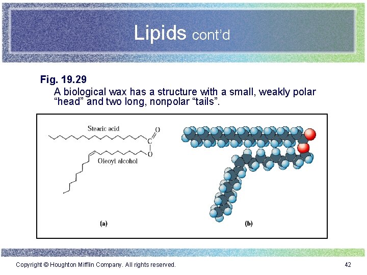 Lipids cont’d Fig. 19. 29 A biological wax has a structure with a small,