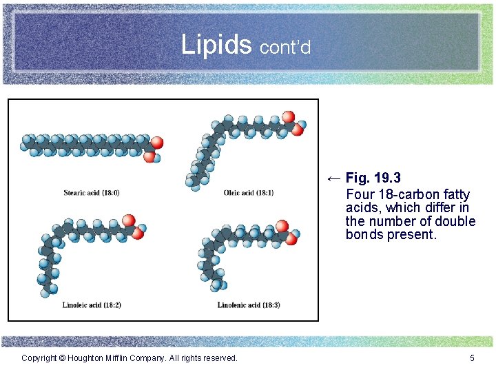 Lipids cont’d ← Fig. 19. 3 Four 18 -carbon fatty acids, which differ in