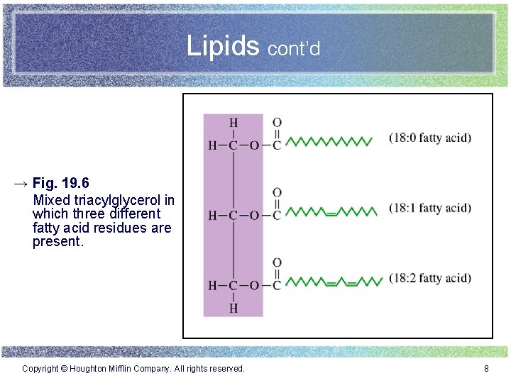 Lipids cont’d → Fig. 19. 6 Mixed triacylglycerol in which three different fatty acid