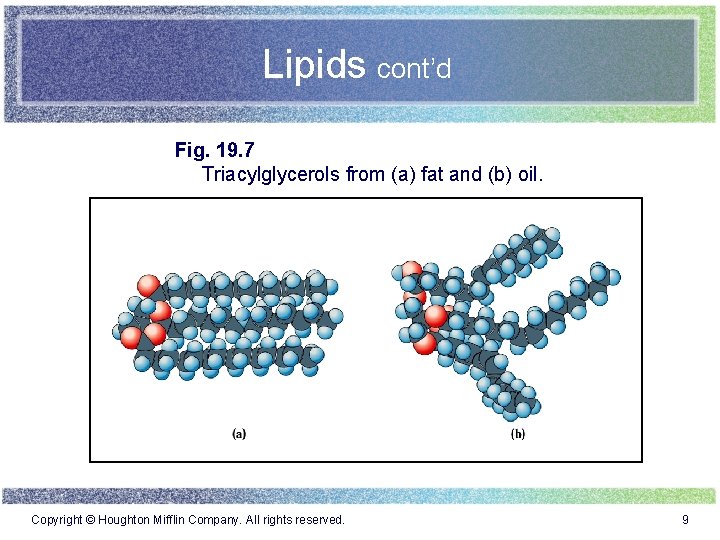 Lipids cont’d Fig. 19. 7 Triacylglycerols from (a) fat and (b) oil. Copyright ©