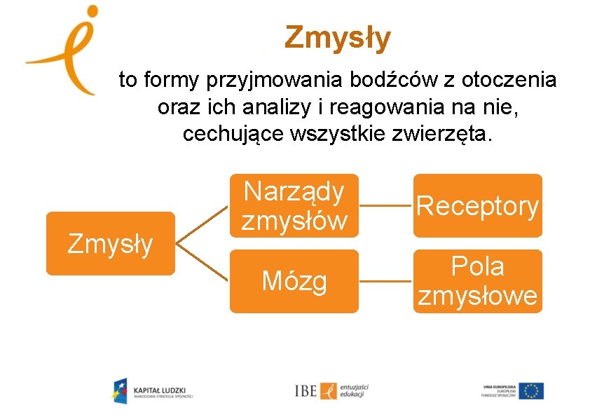 Zmysły to formy przyjmowania bodźców z otoczenia oraz ich analizy i reagowania na nie,