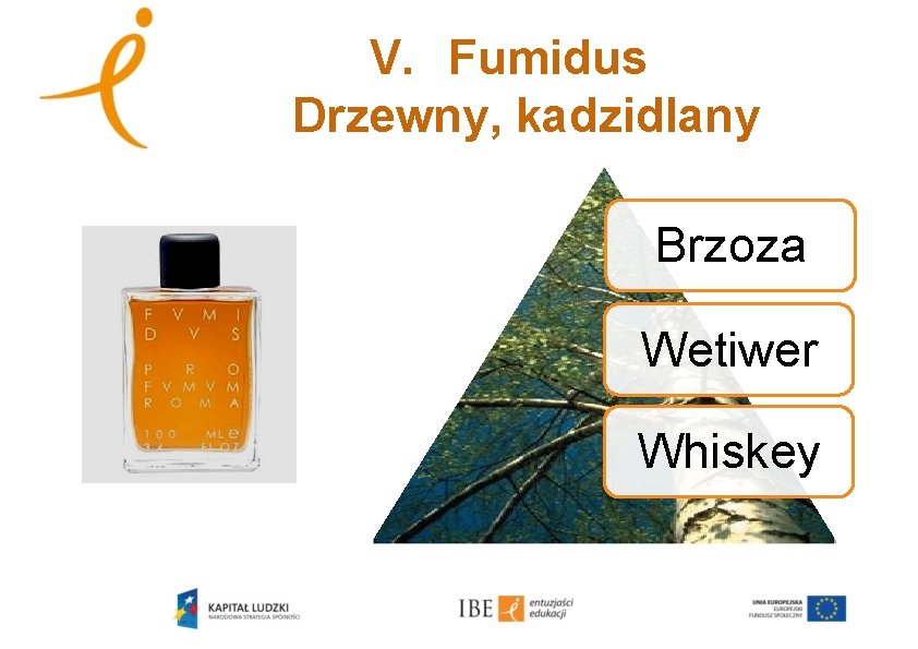 V. Fumidus Drzewny, kadzidlany Brzoza Wetiwer Whiskey 