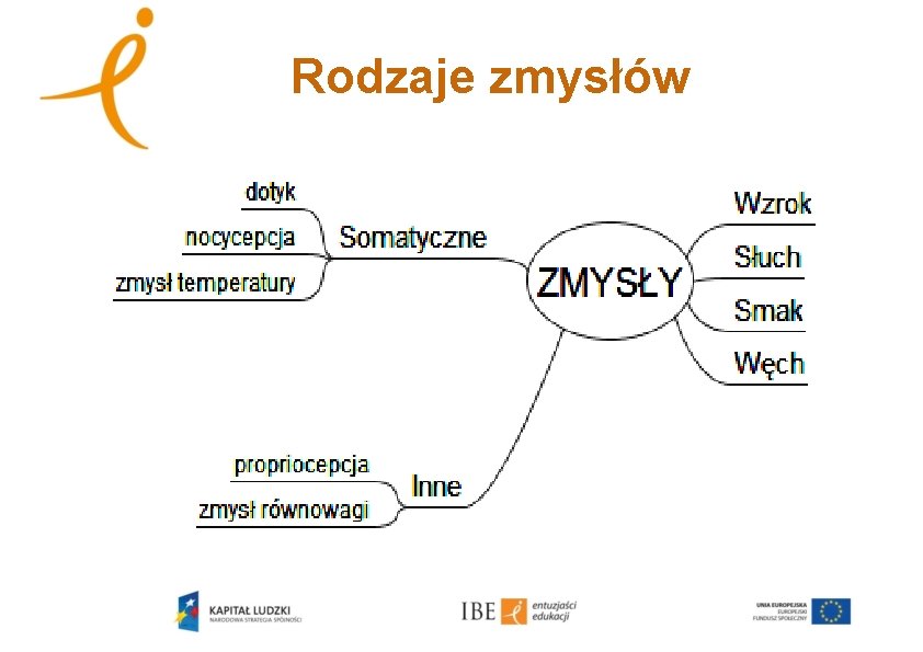 Rodzaje zmysłów 