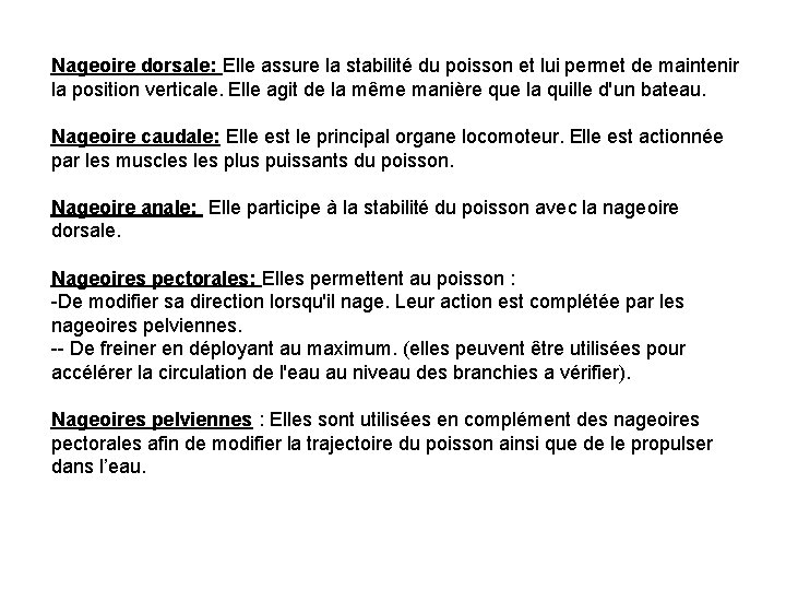 Nageoire dorsale: Elle assure la stabilité du poisson et lui permet de maintenir la