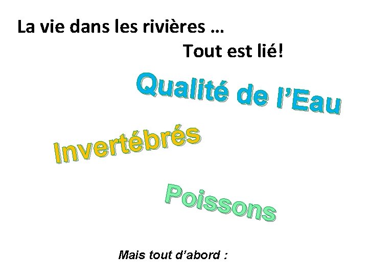 La vie dans les rivières … Tout est lié! Qualité de l’Eau s é