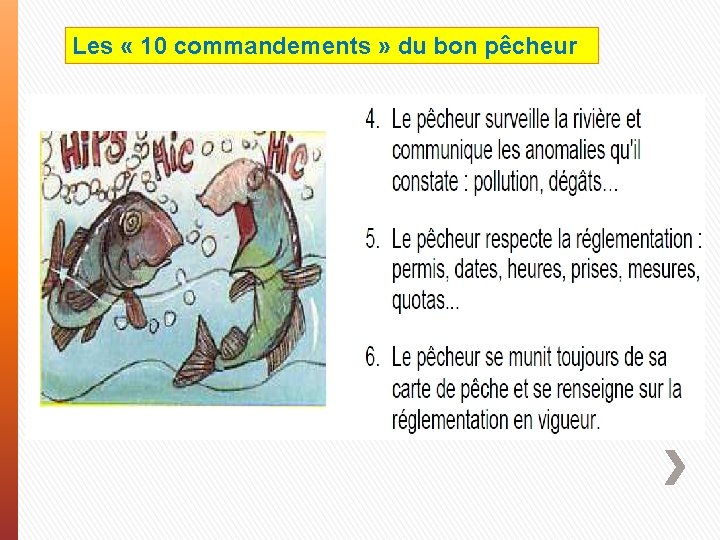 Les « 10 commandements » du bon pêcheur 