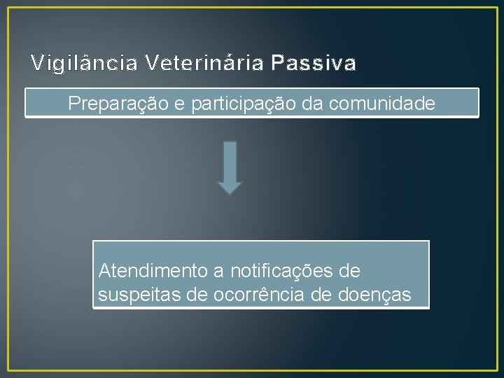 Vigilância Veterinária Passiva Preparação e participação da comunidade Atendimento a notificações de suspeitas de