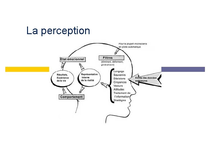 La perception 