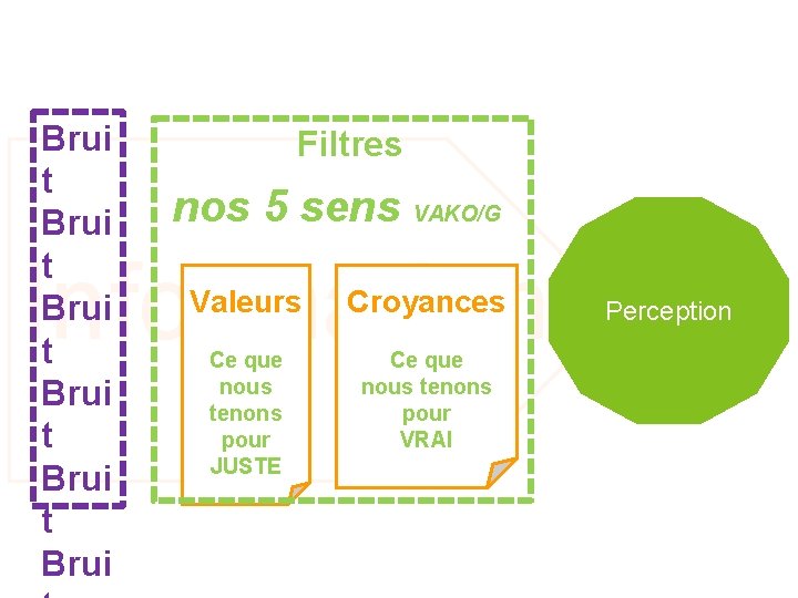 Brui t Brui t Brui Filtres nos 5 sens VAKO/G Informations Valeurs Croyances Ce
