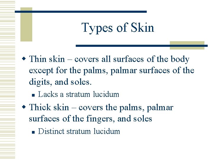 Types of Skin w Thin skin – covers all surfaces of the body except