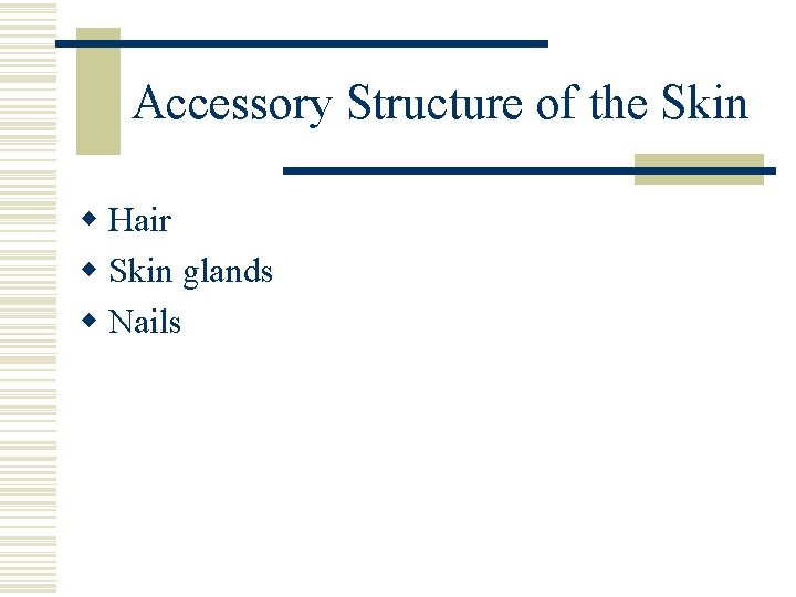 Accessory Structure of the Skin w Hair w Skin glands w Nails 