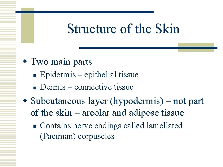 Structure of the Skin w Two main parts n n Epidermis – epithelial tissue Structure of the Skin w Two main parts n n Epidermis – epithelial tissue