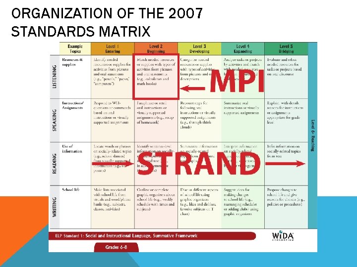 ORGANIZATION OF THE 2007 STANDARDS MATRIX ORGANIZATION OF THE 2007 STANDARDS MATRIX