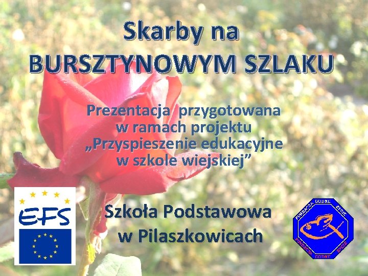 Skarby na BURSZTYNOWYM SZLAKU Prezentacja przygotowana w ramach projektu „Przyspieszenie edukacyjne w szkole wiejskiej”