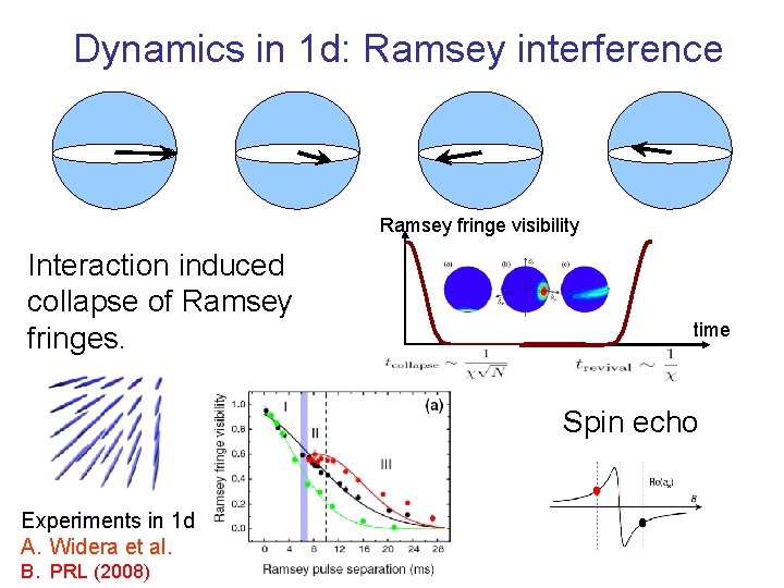 Dynamics in 1 d: Ramsey interference Ramsey fringe visibility Interaction induced collapse of Ramsey Dynamics in 1 d: Ramsey interference Ramsey fringe visibility Interaction induced collapse of Ramsey