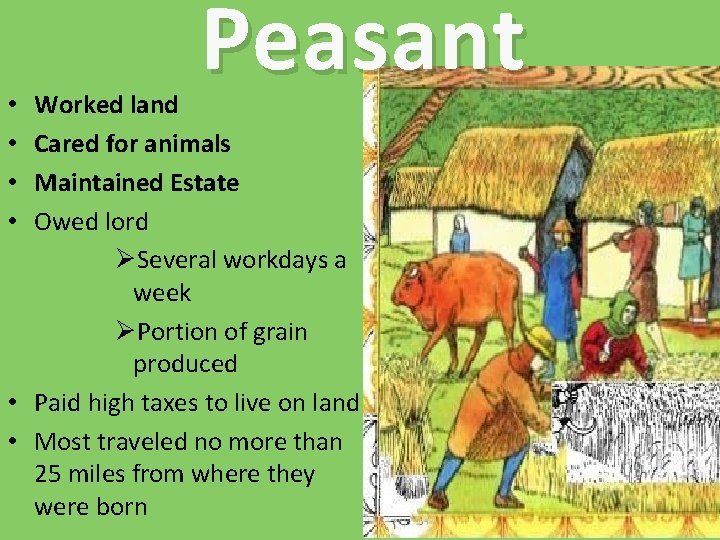Peasant Worked land Cared for animals Maintained Estate Owed lord ØSeveral workdays a week