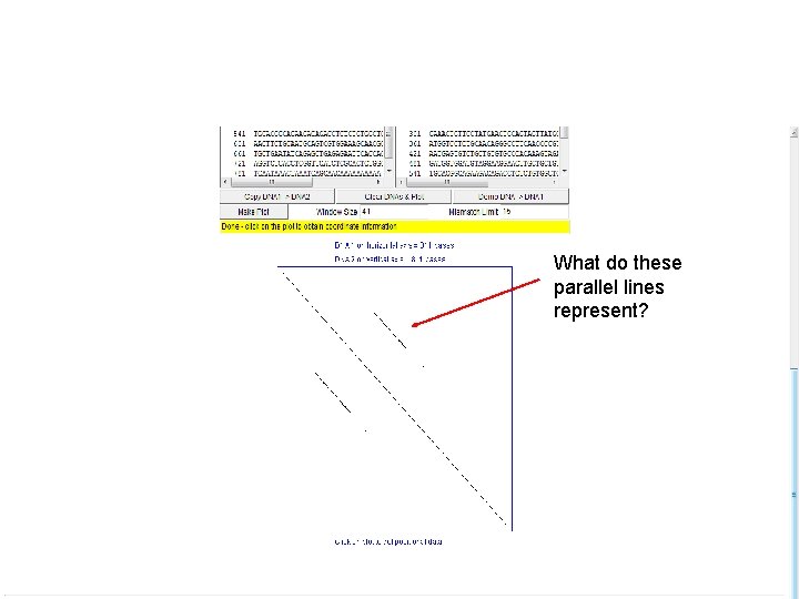 What do these parallel lines represent? 