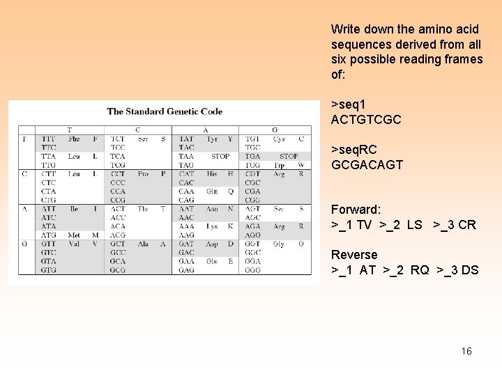 Write down the amino acid sequences derived from all six possible reading frames of: