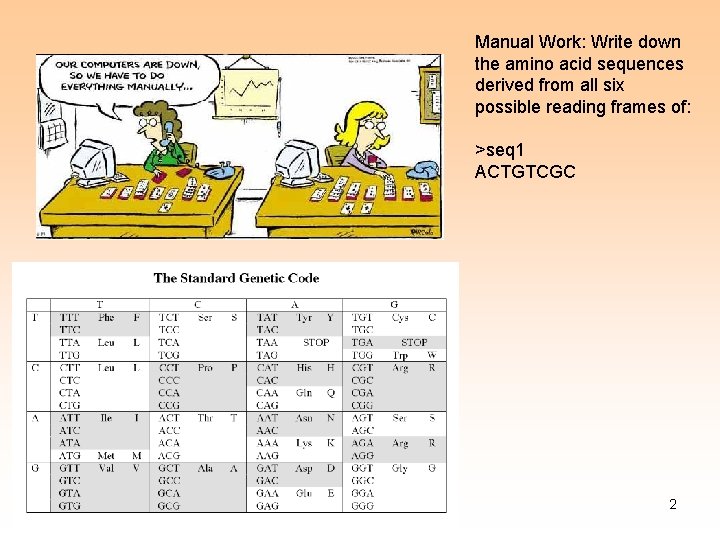 Manual Work: Write down the amino acid sequences derived from all six possible reading