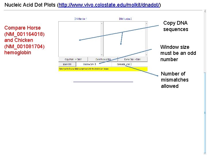 Nucleic Acid Dot Plots (http: //www. vivo. colostate. edu/molkit/dnadot/) Compare Horse (NM_001164018) and Chicken