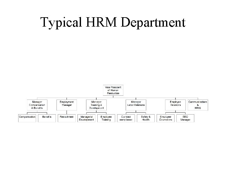 Typical HRM Department 