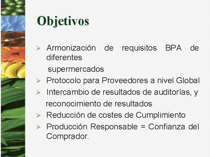 Objetivos Ø Ø Ø Armonización de requisitos BPA de diferentes supermercados Protocolo para Proveedores