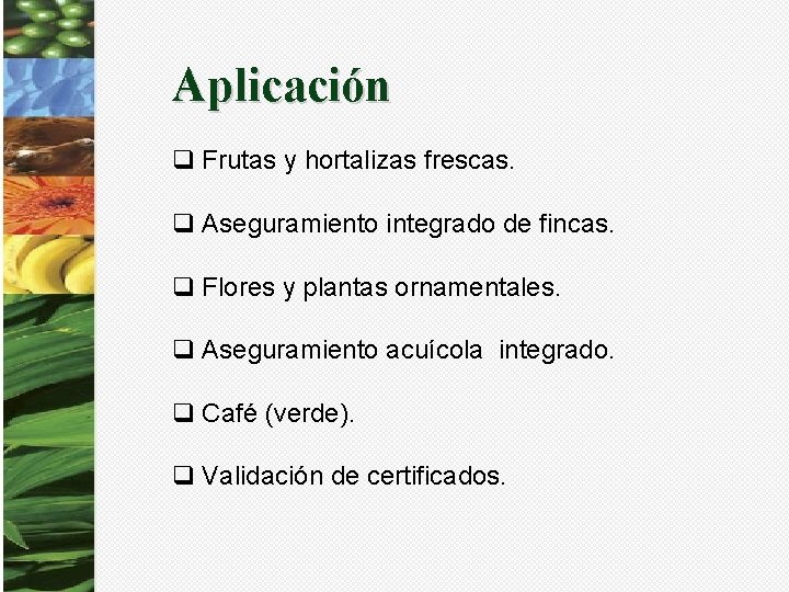 Aplicación q Frutas y hortalizas frescas. q Aseguramiento integrado de fincas. q Flores y