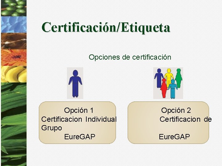 Certificación/Etiqueta Opciones de certificación Opción 1 Certificacion Individual Grupo Eure. GAP Opción 2 Certificacion
