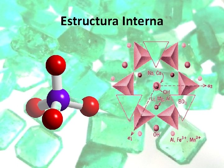 Estructura Interna Estructura Interna