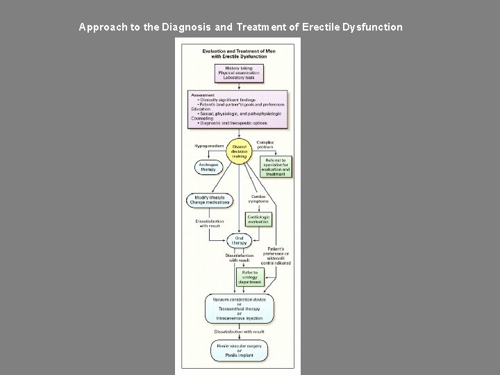 Approach to the Diagnosis and Treatment of Erectile Dysfunction 