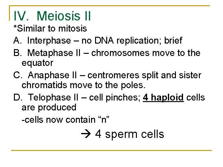 IV. Meiosis II *Similar to mitosis A. Interphase – no DNA replication; brief B. IV. Meiosis II *Similar to mitosis A. Interphase – no DNA replication; brief B.