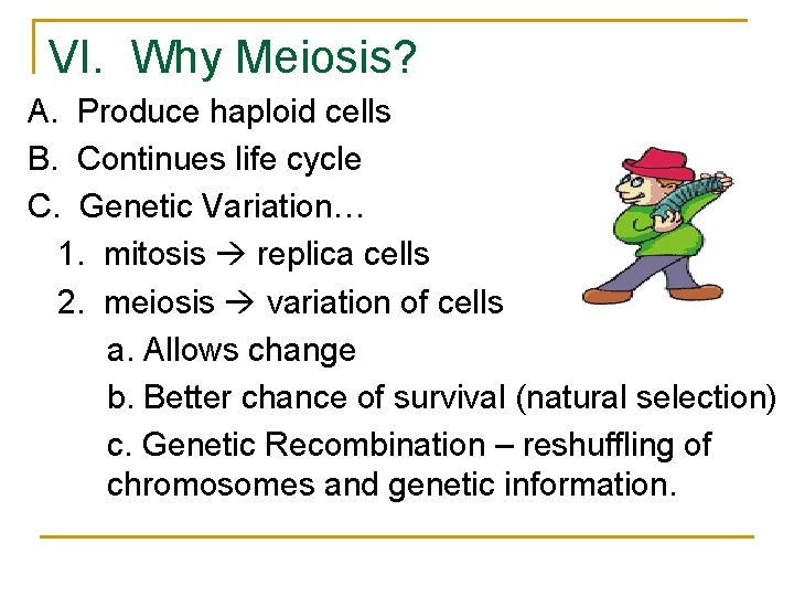 VI. Why Meiosis? A. Produce haploid cells B. Continues life cycle C. Genetic Variation… VI. Why Meiosis? A. Produce haploid cells B. Continues life cycle C. Genetic Variation…