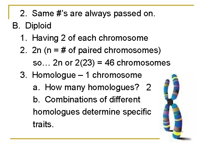 2. Same #’s are always passed on. B. Diploid 1. Having 2 of each 2. Same #’s are always passed on. B. Diploid 1. Having 2 of each