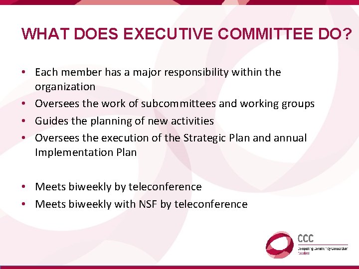 WHAT DOES EXECUTIVE COMMITTEE DO? • Each member has a major responsibility within the