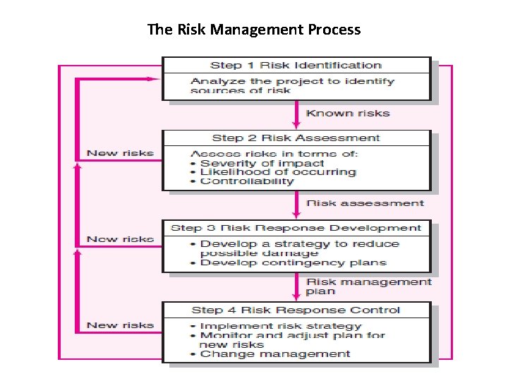 The Risk Management Process 