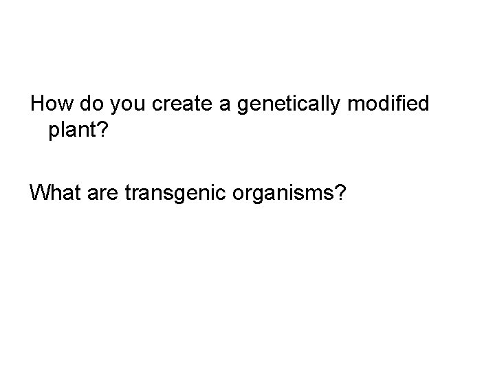 How do you create a genetically modified plant? What are transgenic organisms? 