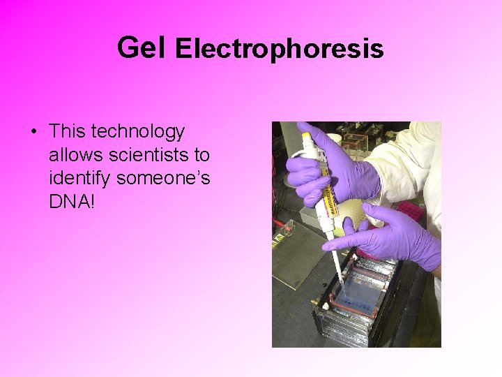 Gel Electrophoresis • This technology allows scientists to identify someone’s DNA! 