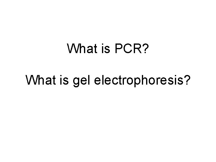 What is PCR? What is gel electrophoresis? 