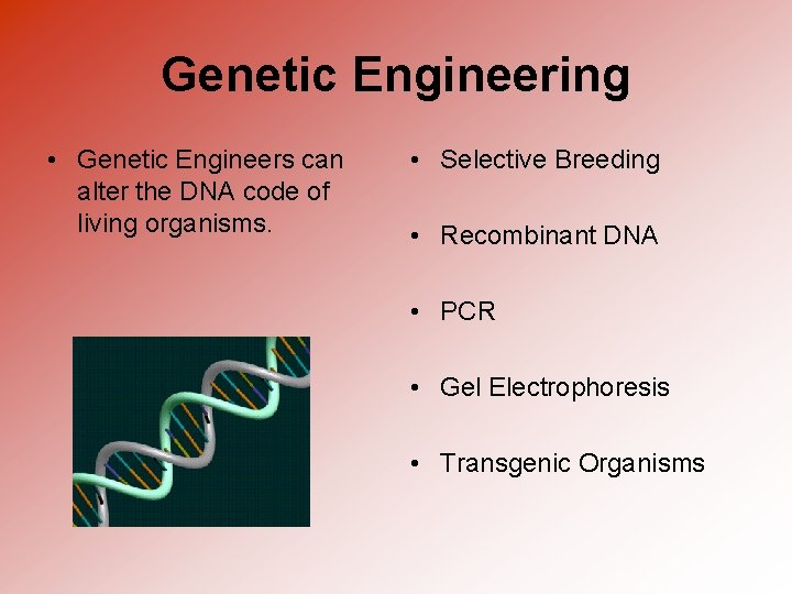 Genetic Engineering • Genetic Engineers can alter the DNA code of living organisms. •