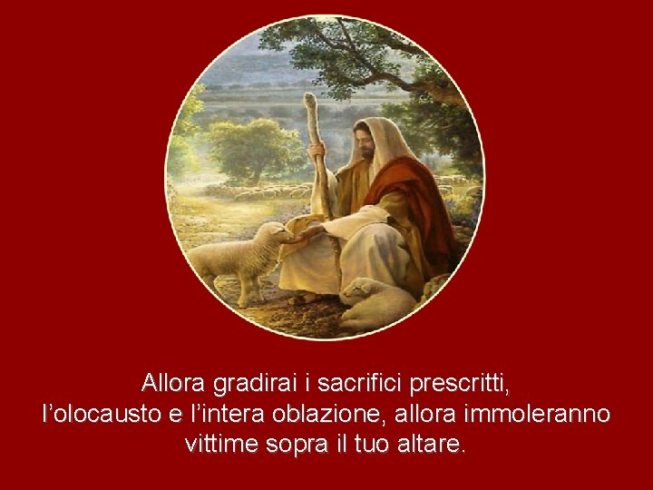 Allora gradirai i sacrifici prescritti, l’olocausto e l’intera oblazione, allora immoleranno vittime sopra il