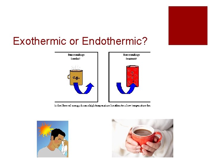 Exothermic or Endothermic? 
